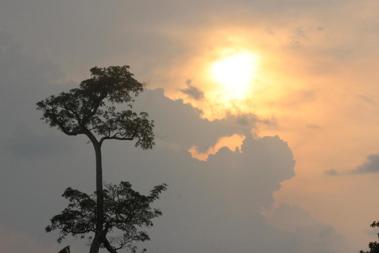 Forest Tree Top Holiday Resort Buttala Exterior foto
