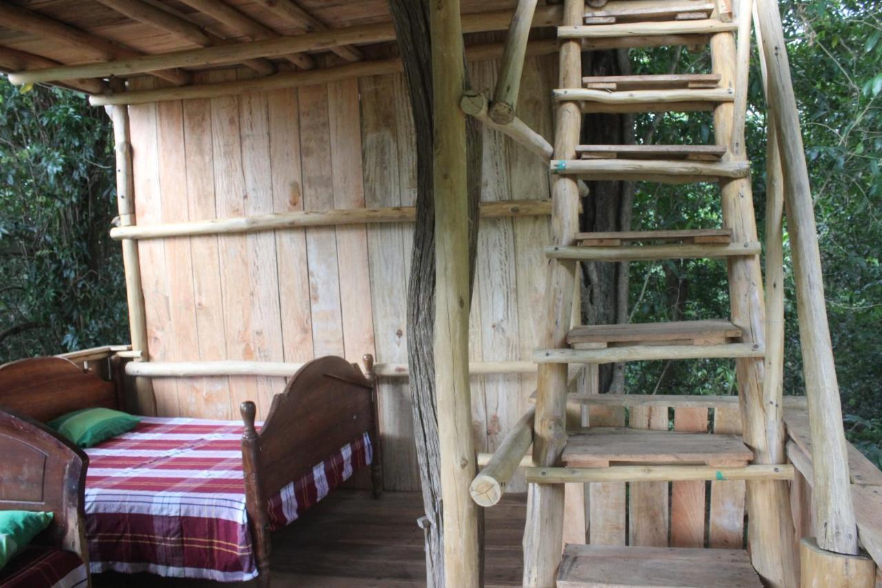Forest Tree Top Holiday Resort Buttala Exterior foto
