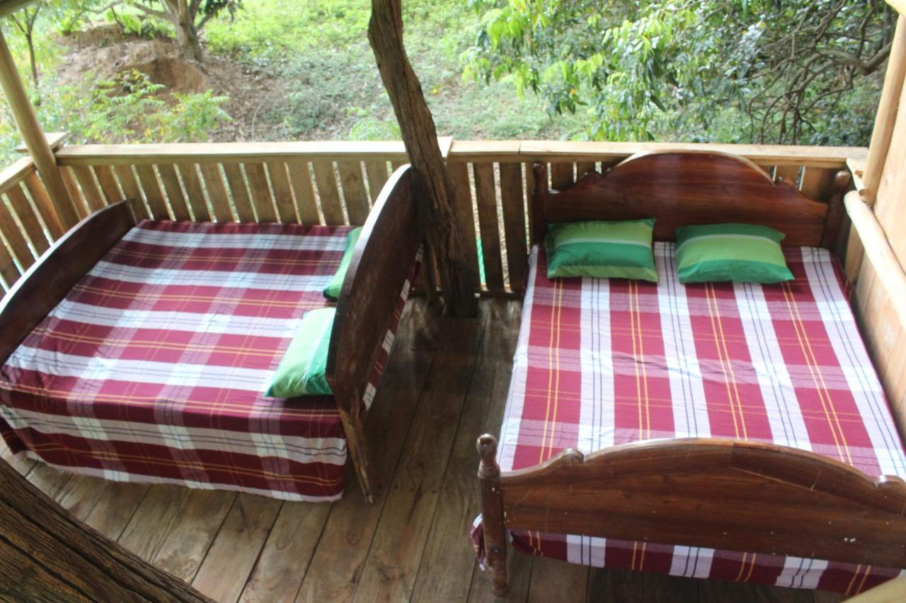 Forest Tree Top Holiday Resort Buttala Exterior foto